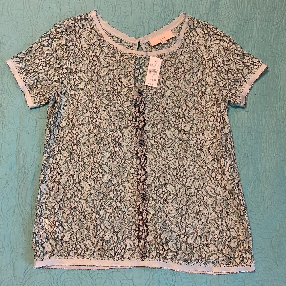 NWT The Limited Lace Light Blue Floral Zipper Back Short Sleeve Top Size Small